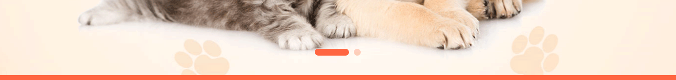 深圳網(wǎng)站設(shè)計公司_高端定制設(shè)計網(wǎng)站_營銷型網(wǎng)站設(shè)計制作_深圳網(wǎng)站建設(shè)