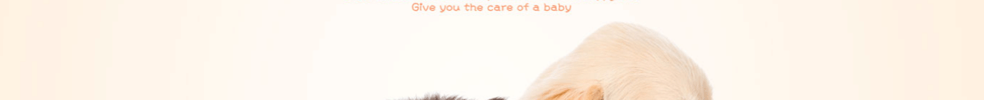 深圳網(wǎng)站設(shè)計公司_高端定制設(shè)計網(wǎng)站_營銷型網(wǎng)站設(shè)計制作_深圳網(wǎng)站建設(shè)