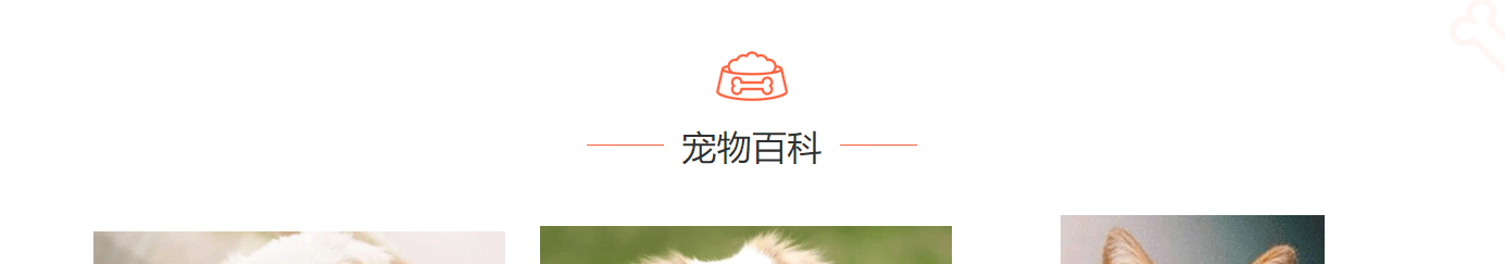 深圳網(wǎng)站設(shè)計公司_高端定制設(shè)計網(wǎng)站_營銷型網(wǎng)站設(shè)計制作_深圳網(wǎng)站建設(shè)