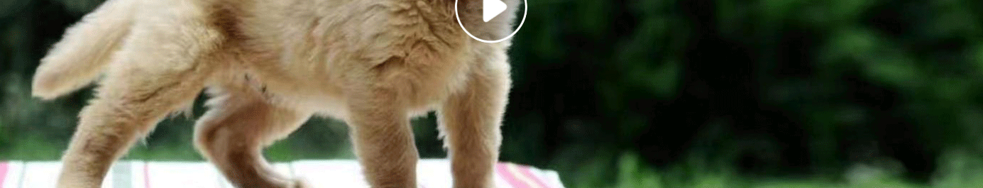 深圳網(wǎng)站設(shè)計公司_高端定制設(shè)計網(wǎng)站_營銷型網(wǎng)站設(shè)計制作_深圳網(wǎng)站建設(shè)