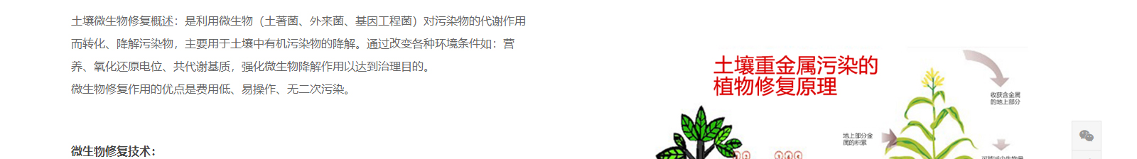 深圳網(wǎng)站設(shè)計(jì)公司_高端定制設(shè)計(jì)網(wǎng)站_營(yíng)銷型網(wǎng)站設(shè)計(jì)制作_深圳網(wǎng)站建設(shè)