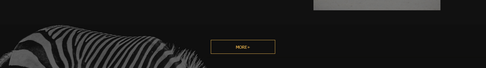 深圳網(wǎng)站設(shè)計(jì)公司_高端定制設(shè)計(jì)網(wǎng)站_營銷型網(wǎng)站設(shè)計(jì)制作_深圳網(wǎng)站建設(shè)