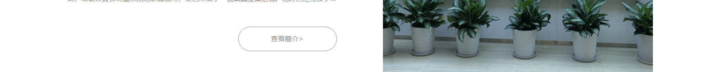 深圳網(wǎng)站設(shè)計(jì)公司_高端定制設(shè)計(jì)網(wǎng)站_營(yíng)銷型網(wǎng)站設(shè)計(jì)制作_深圳網(wǎng)站建設(shè) 深圳網(wǎng)站設(shè)計(jì)公司_高端定制設(shè)計(jì)網(wǎng)站_營(yíng)銷型網(wǎng)站設(shè)計(jì)制作_深圳網(wǎng)站建設(shè)