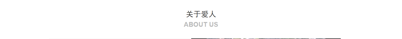 網(wǎng)站建設(shè)設(shè)計(jì)案例_營(yíng)銷型網(wǎng)站制作案例 網(wǎng)站建設(shè)設(shè)計(jì)案例_營(yíng)銷型網(wǎng)站制作案例
