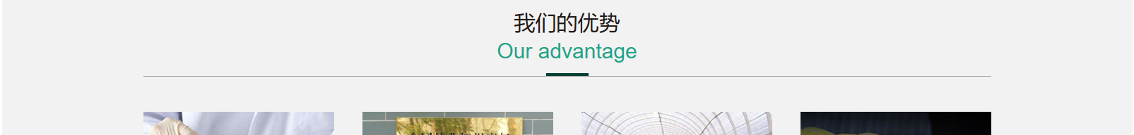 網(wǎng)站建設(shè)設(shè)計(jì)案例_營銷型網(wǎng)站制作案例 網(wǎng)站建設(shè)設(shè)計(jì)案例_營銷型網(wǎng)站制作案例