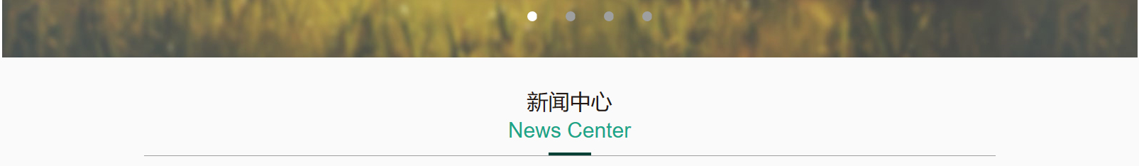 網(wǎng)站建設(shè)設(shè)計(jì)案例_營銷型網(wǎng)站制作案例 網(wǎng)站建設(shè)設(shè)計(jì)案例_營銷型網(wǎng)站制作案例