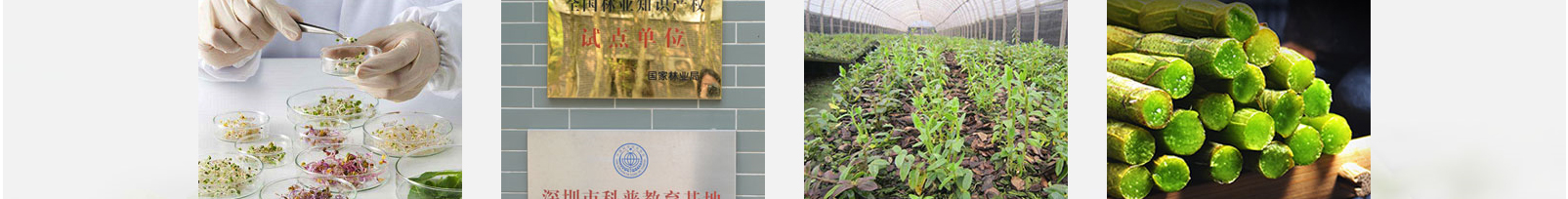 網(wǎng)站建設(shè)設(shè)計(jì)案例_營銷型網(wǎng)站制作案例 網(wǎng)站建設(shè)設(shè)計(jì)案例_營銷型網(wǎng)站制作案例