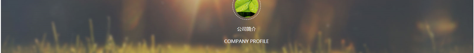 網(wǎng)站建設(shè)設(shè)計(jì)案例_營銷型網(wǎng)站制作案例 網(wǎng)站建設(shè)設(shè)計(jì)案例_營銷型網(wǎng)站制作案例