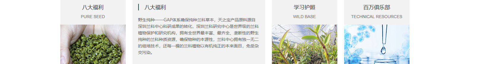 網(wǎng)站建設(shè)設(shè)計(jì)案例_營銷型網(wǎng)站制作案例 網(wǎng)站建設(shè)設(shè)計(jì)案例_營銷型網(wǎng)站制作案例