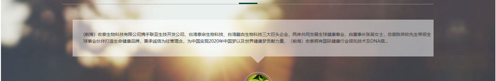 網(wǎng)站建設(shè)設(shè)計(jì)案例_營銷型網(wǎng)站制作案例 網(wǎng)站建設(shè)設(shè)計(jì)案例_營銷型網(wǎng)站制作案例