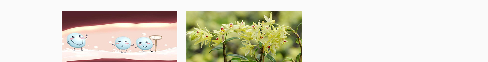 網(wǎng)站建設(shè)設(shè)計(jì)案例_營銷型網(wǎng)站制作案例 網(wǎng)站建設(shè)設(shè)計(jì)案例_營銷型網(wǎng)站制作案例