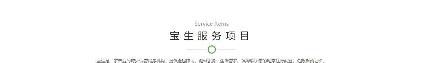 寶生海外網(wǎng)站設(shè)計效果圖 洛壹網(wǎng)絡(luò)網(wǎng)站案例