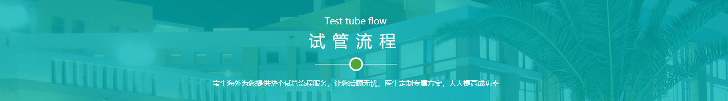 寶生海外網(wǎng)站設(shè)計效果圖 洛壹網(wǎng)絡(luò)網(wǎng)站案例