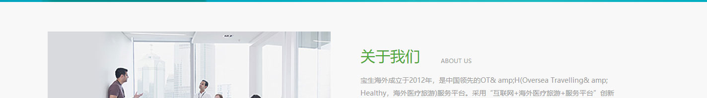 寶生海外網(wǎng)站設(shè)計效果圖 洛壹網(wǎng)絡(luò)網(wǎng)站案例