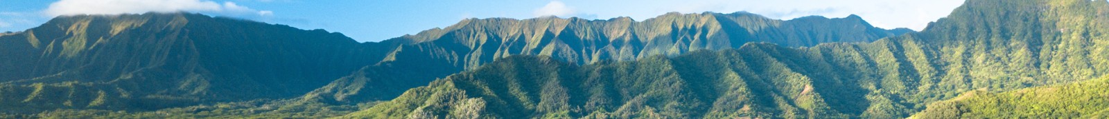 方圓環(huán)保科技_智慧環(huán)保網(wǎng)站建設(shè)_洛壹建站案例