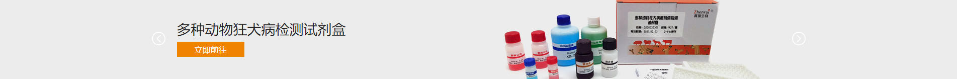 新型冠狀病毒快速診斷