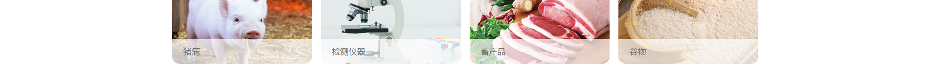 新型冠狀病毒快速診斷