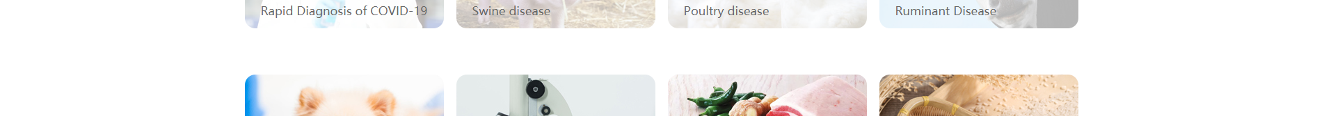 深圳網(wǎng)站設(shè)計(jì)公司_響應(yīng)式網(wǎng)站_外貿(mào)網(wǎng)站_深圳網(wǎng)站建設(shè)